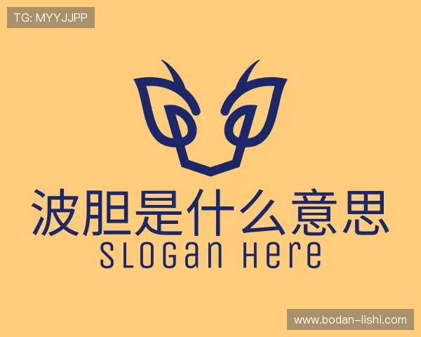 解读波胆app官网